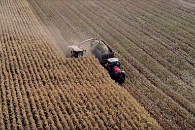 В Удмуртии убрано 76% площадей зерновых