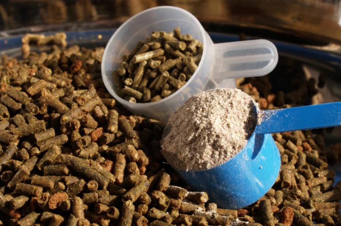 В НИИСХ Крыма стартовали исследования по применению бентонитов в виде минеральных кормовых добавок