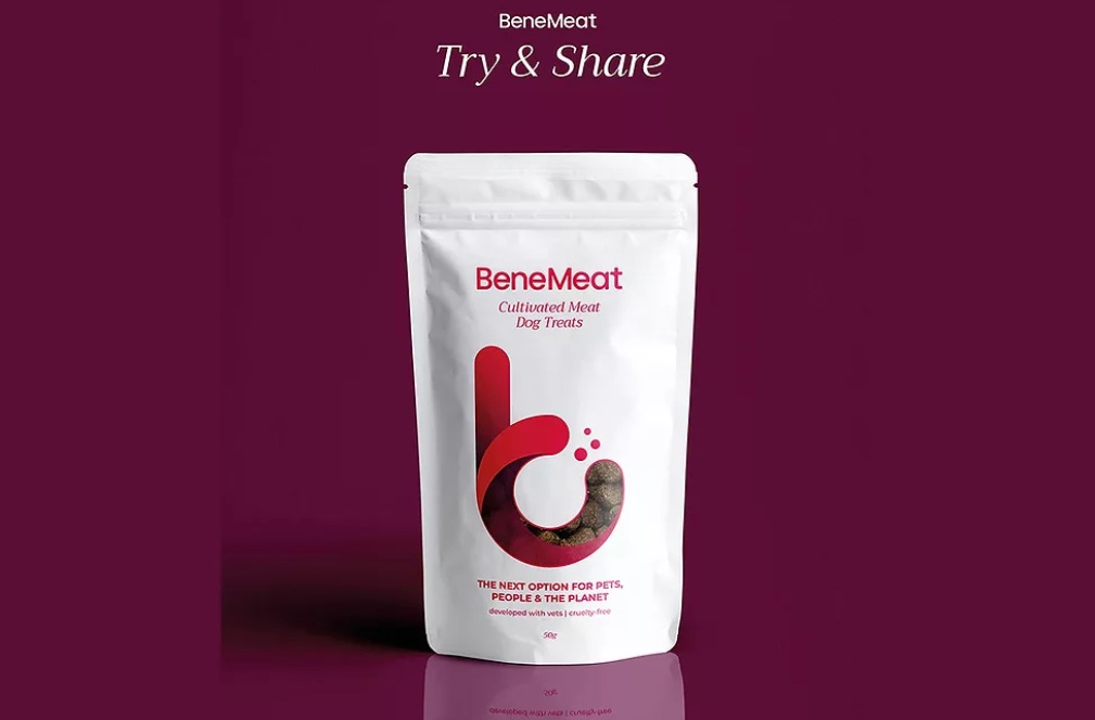 BeneMeat запускает пилотную программу по тестированию лакомств для животных из культивированного мяса