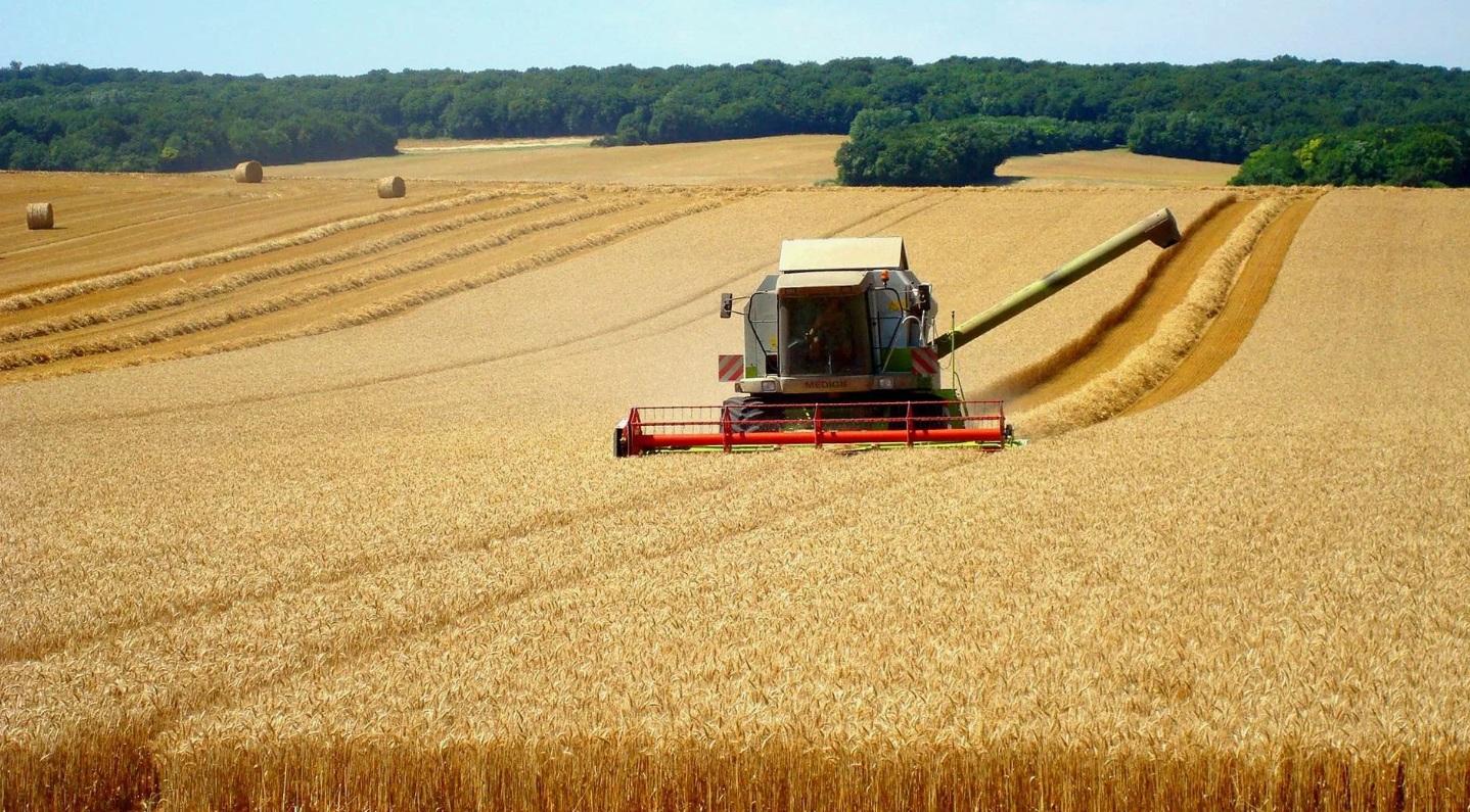 Аграрии Марий Эл собрали в текущем году почти на треть больше зерна, чем годом ранее