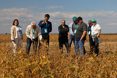 В Самарской области прошла научно-практическая конференция по сое