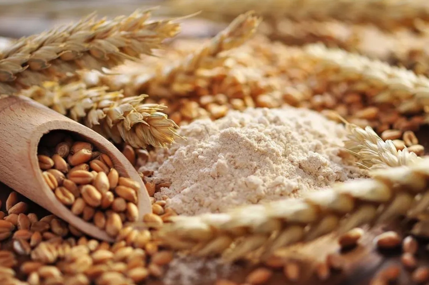 Россельхознадзор сообщает об изменении порядка доступа продуктов переработки зерна на китайский рынок