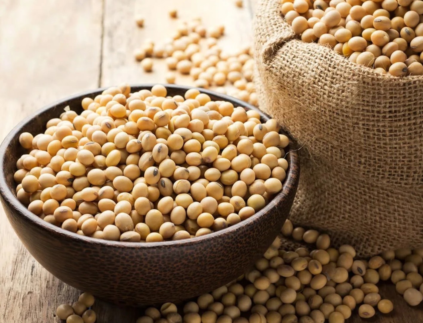 Американские аграрные ассоциации укрепляют связи с Юго-Восточной Азией на конференции в Джакарте