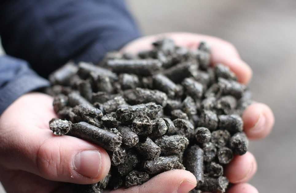 Таможенная подкомиссия одобрила продление экспортных пошлин на подсолнечник, масло и шрот