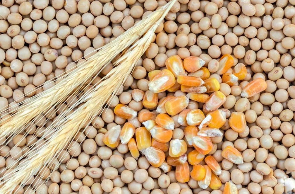 CHS и MKC прекращают сотрудничество в рамках зернового совместного предприятия