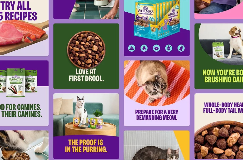 Wellness Pet Company обновила фирменный стиль и запустила рекламную кампанию