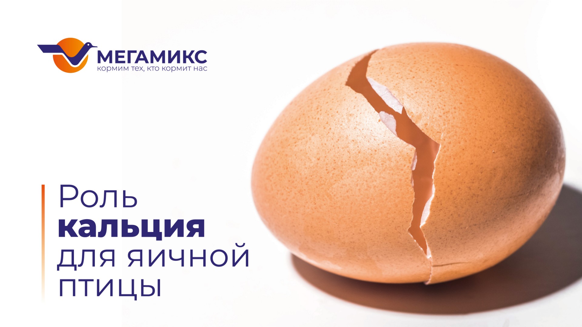 Больше, чем кальций. Использование ИННОВИТ® 25-Гидрокси Витамин D3 в кормлении кур-несушек