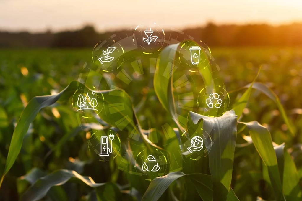 Агробизнес создает ценность через устойчивое развитие