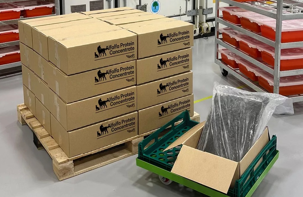 Leaft Foods выводит на рынок кормов для животных устойчивый белок из листьев люцерны