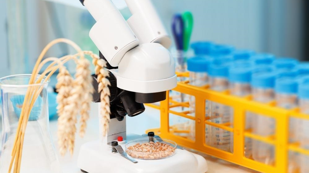 В Приморье специалисты подведомственного Россельхознадзору ФГБУ «ЦОК АПК» выявили превышение содержания пестицида в партии овса