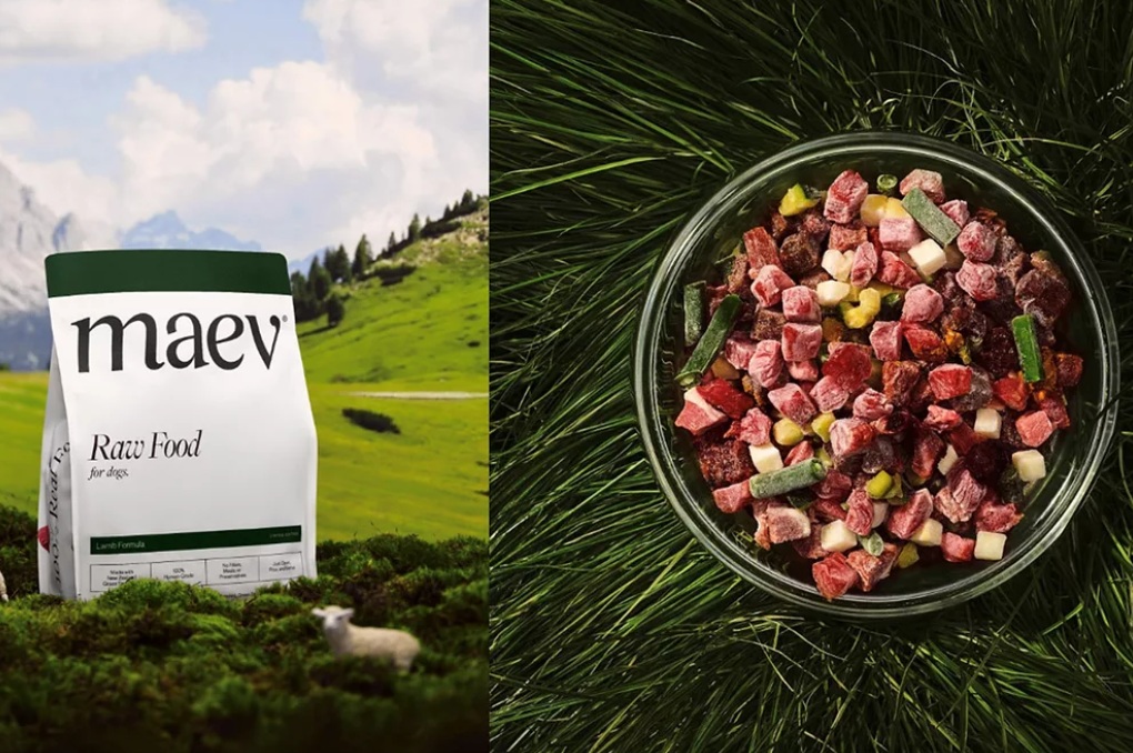 Maev выводит на рынок корм для собак с новозеландской бараниной травяного откорма
