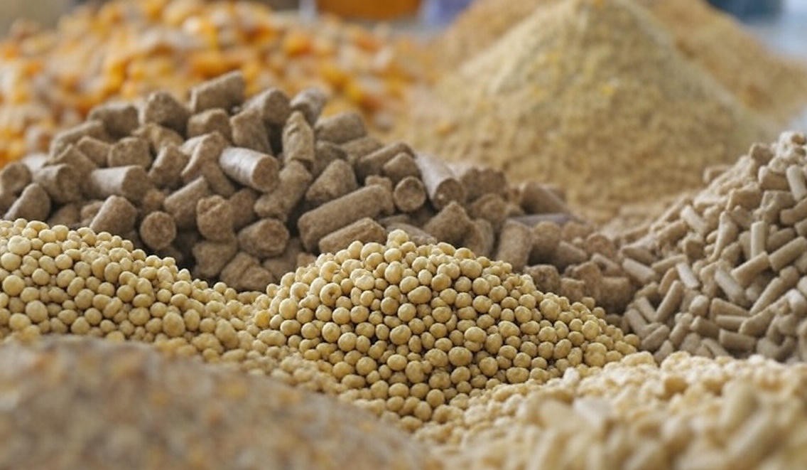 Больше чем за полгода производство комбикорма в Тульской области увеличилось на 3,2%