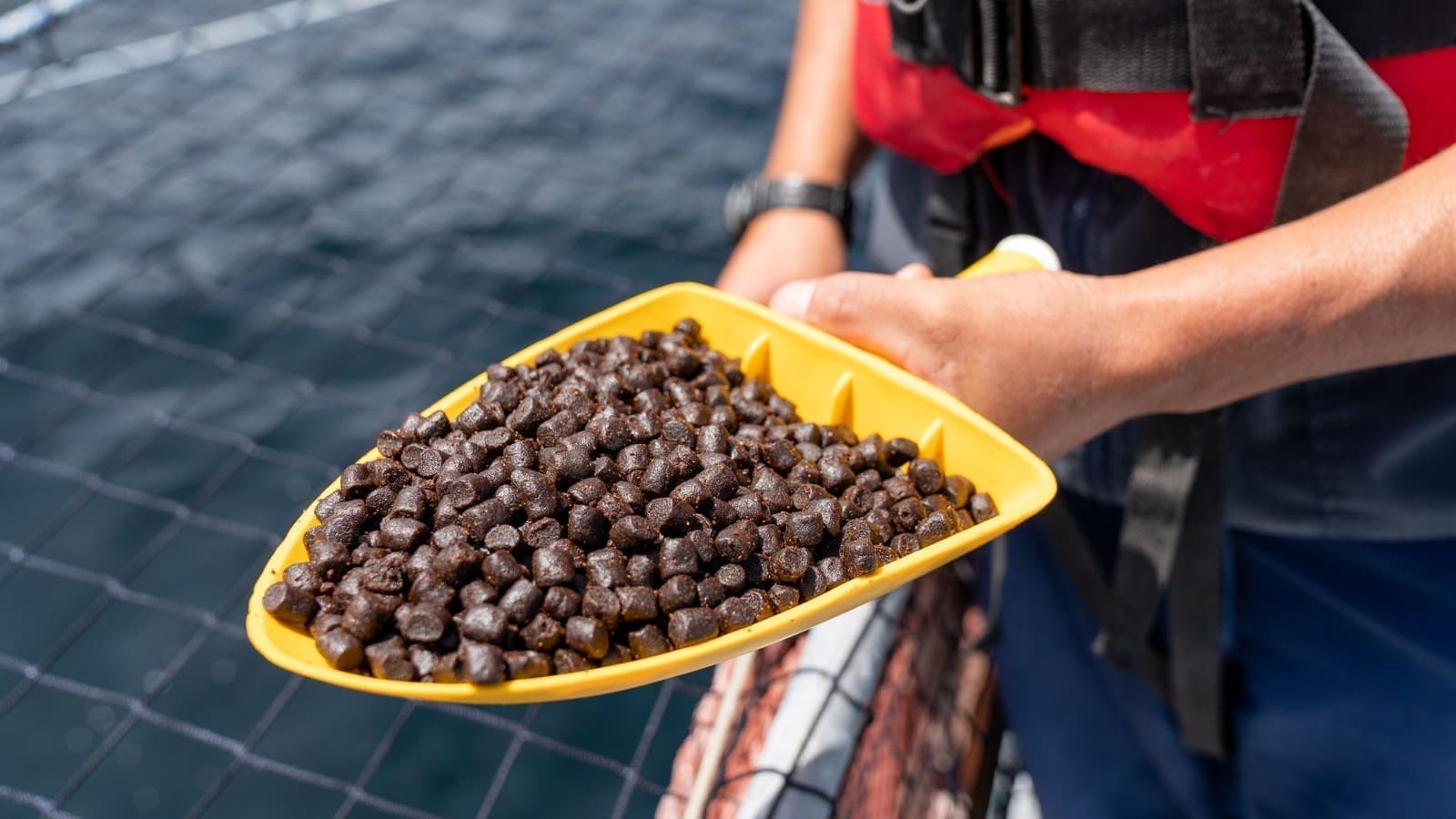 Thai Union Feedmill достигла рекордных показателей продаж и прибыли в третьем квартале