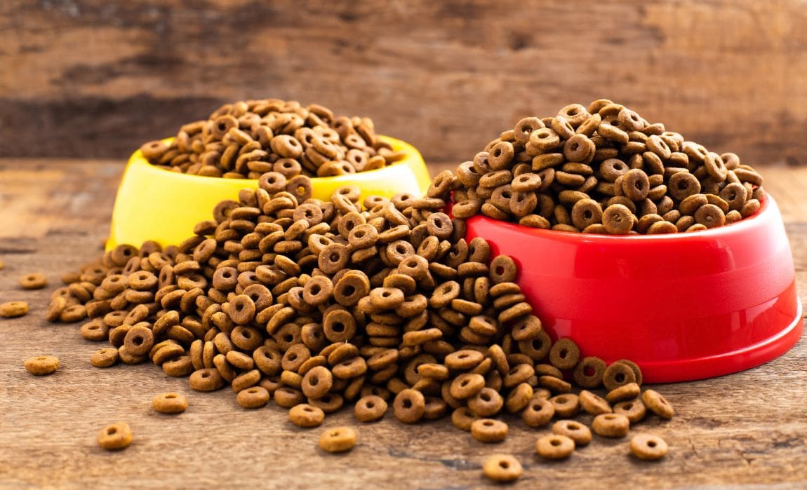 Выпускать корма для питомцев из просрочки хотят разрешить в России, эксперты против