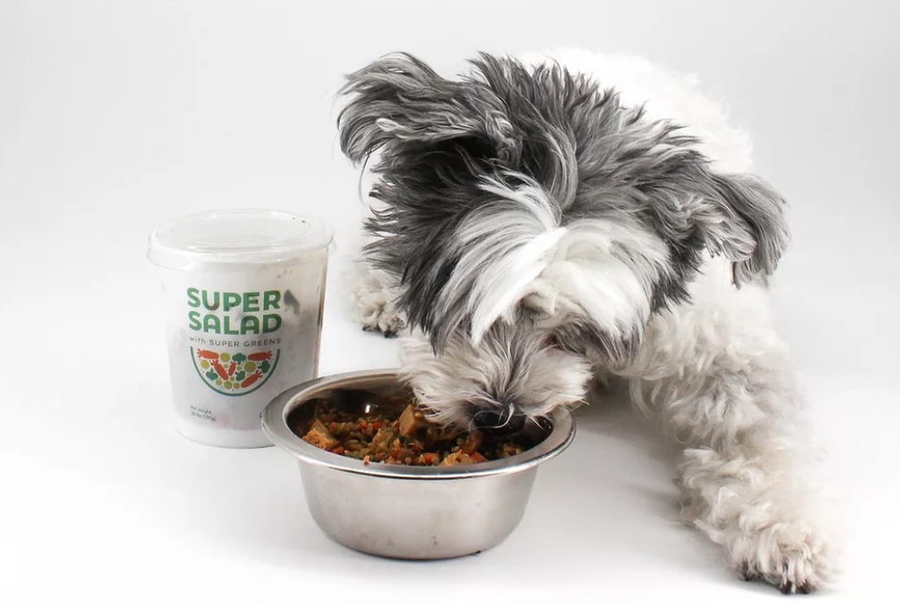 PawCo представила первый в мире салат для собак