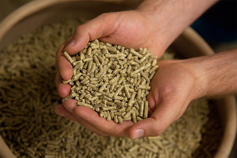 В Волгоградской области Россельхознадзором проконтролировано более 13 тысяч тонн кормов и кормовых добавок для животных