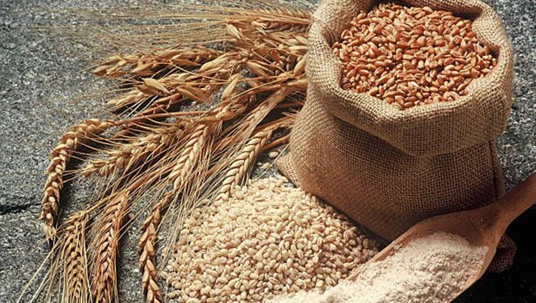 На конец октября запасы зерна в российских сельхозорганизациях были на 14,4% выше прошлогодних