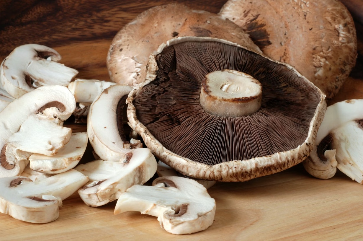 Грибные ножки как альтернатива соевому шроту? Учёные изучают потенциал нового недорогого ингредиента