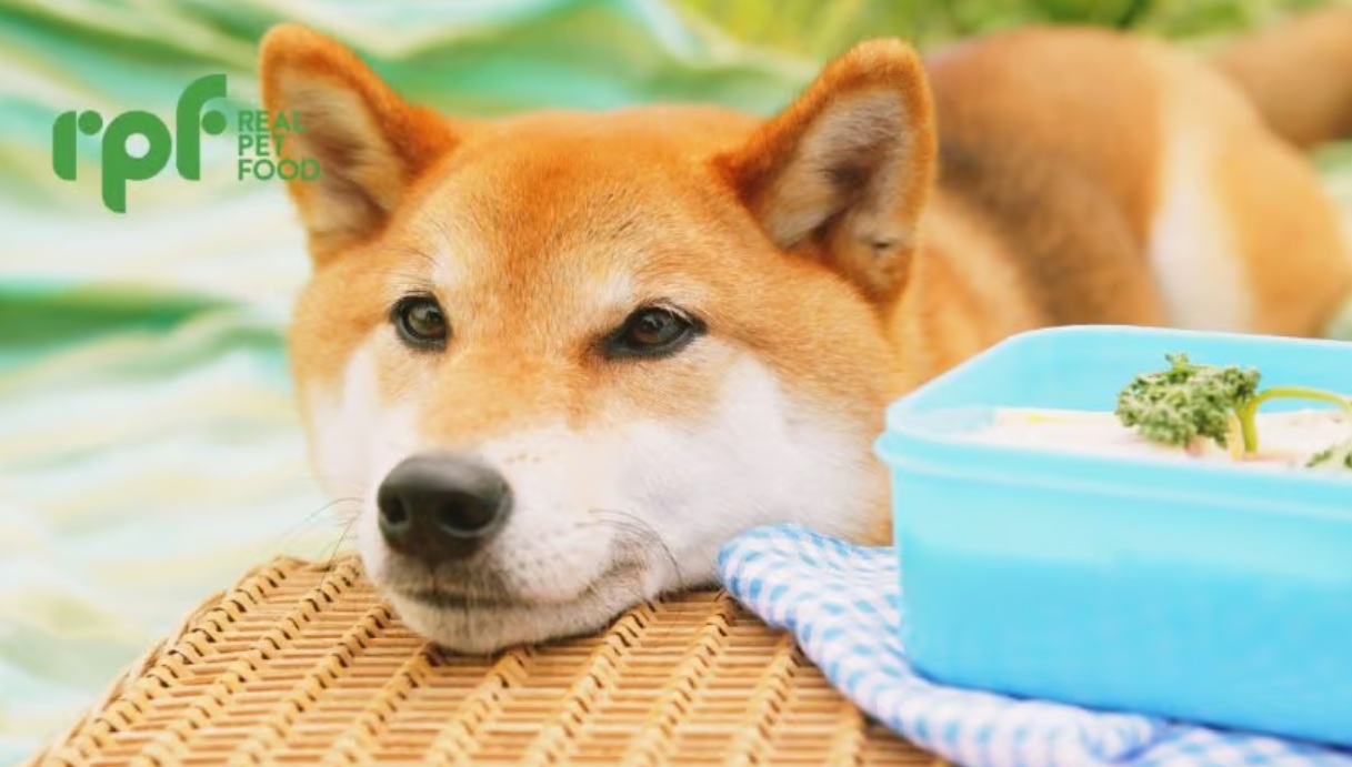 Real Pet Food Company открывает FreshLabs стоимостью 325 млн долларов США для трансформации питания домашних животных