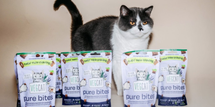 Vegdog выходит на рынок кормов для кошек с первым веганским снеком