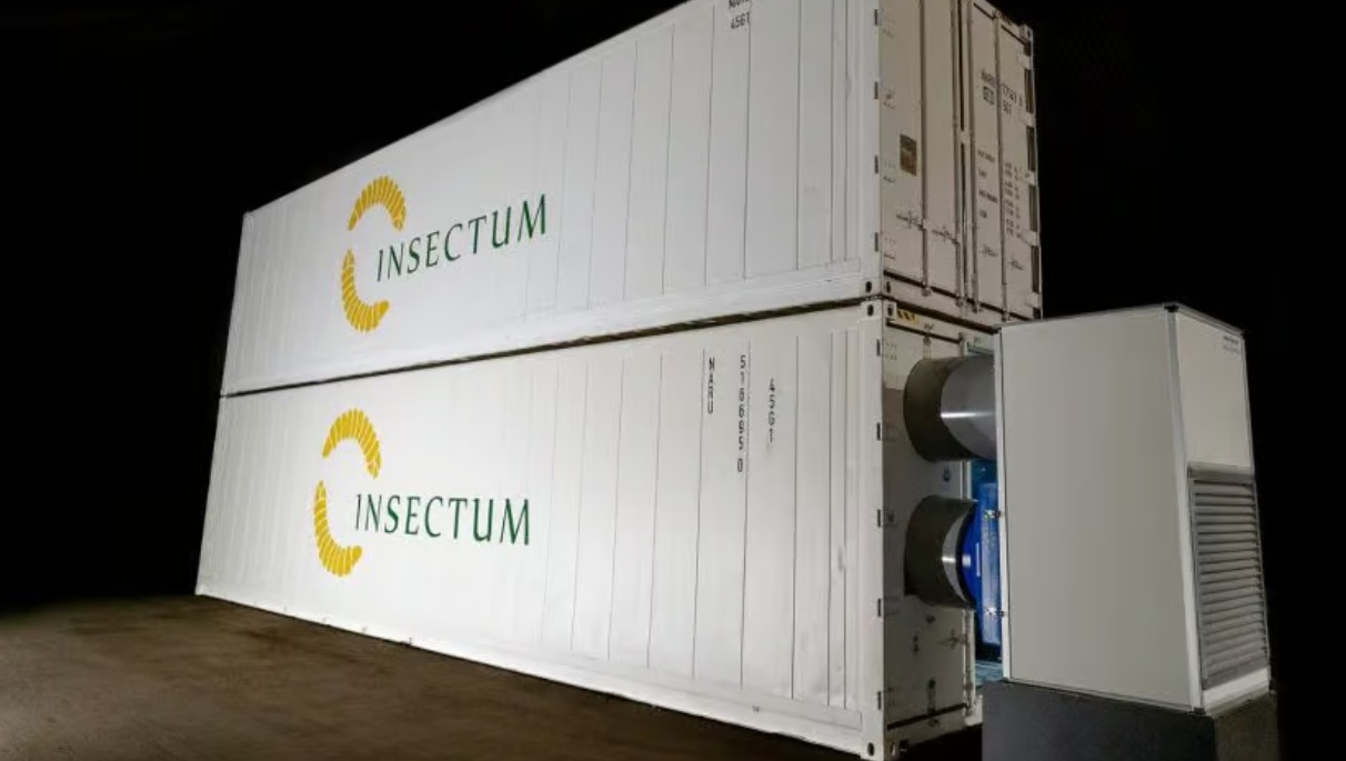 Insectum остаётся последним производителем насекомых в Дании после кризиса в отрасли