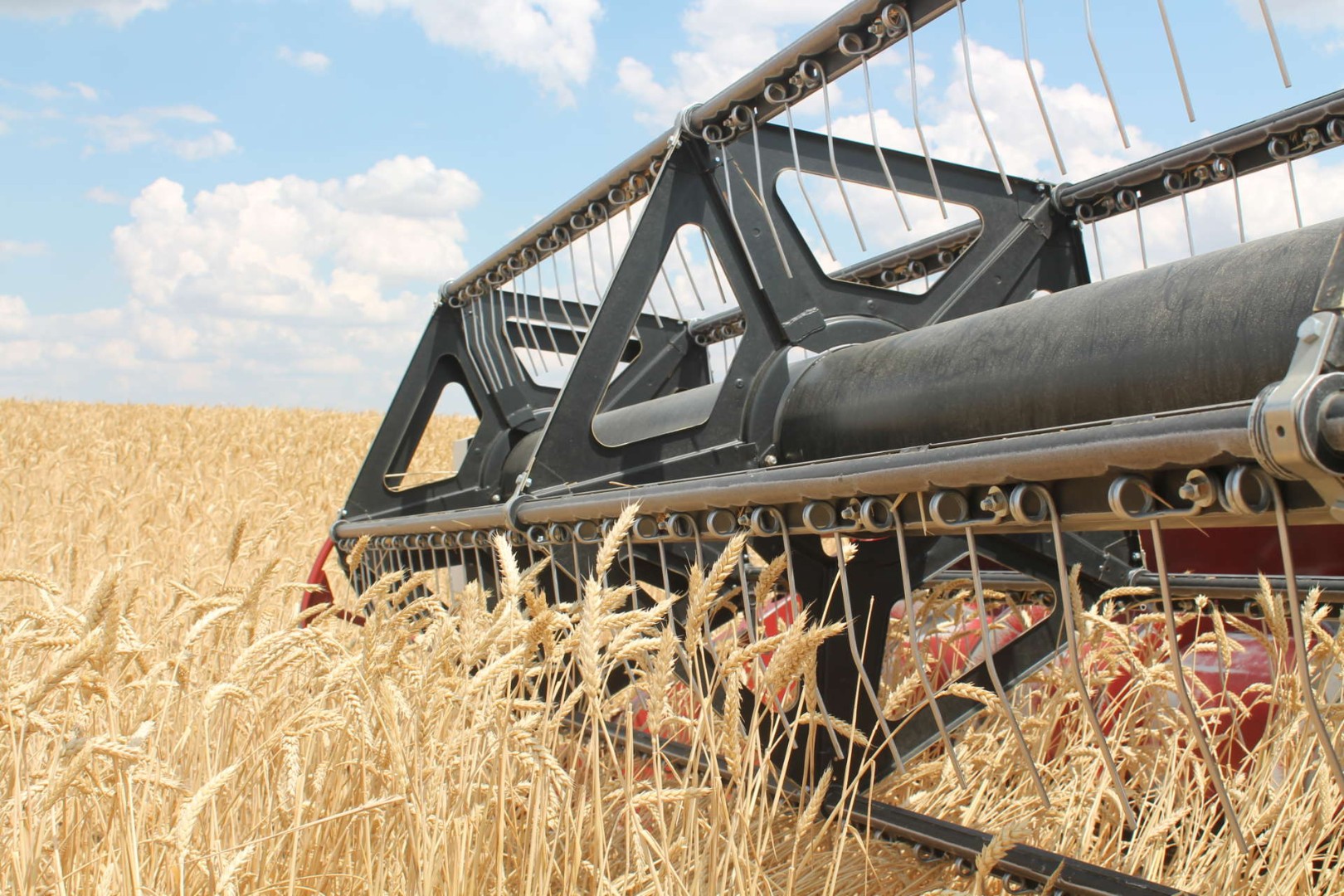 ВТБ планирует создать свой агрохолдинг