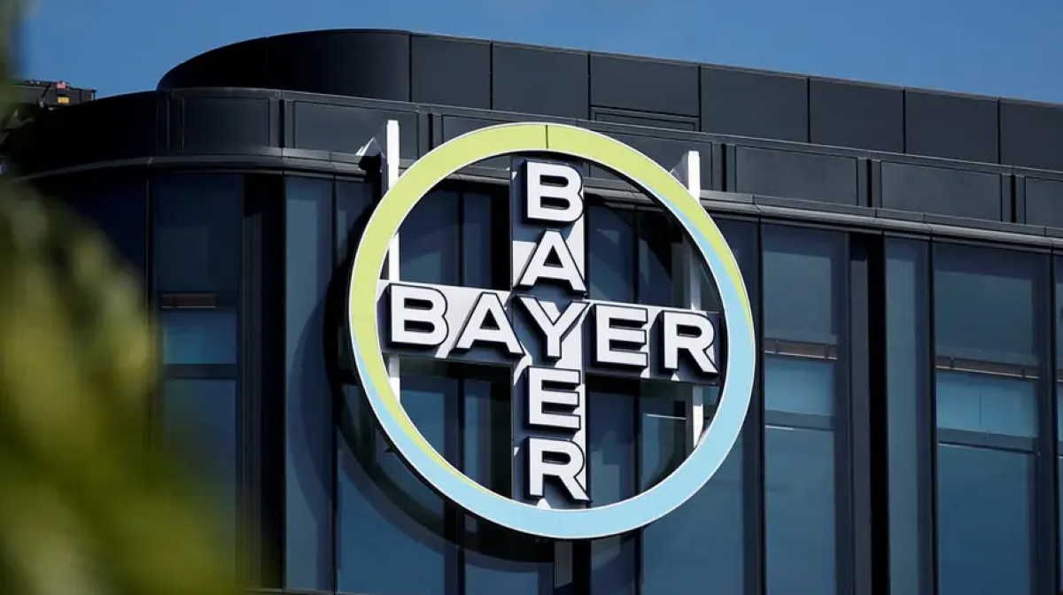 Bayer представила новое поколение ГМО-семян сои для бразильского рынка