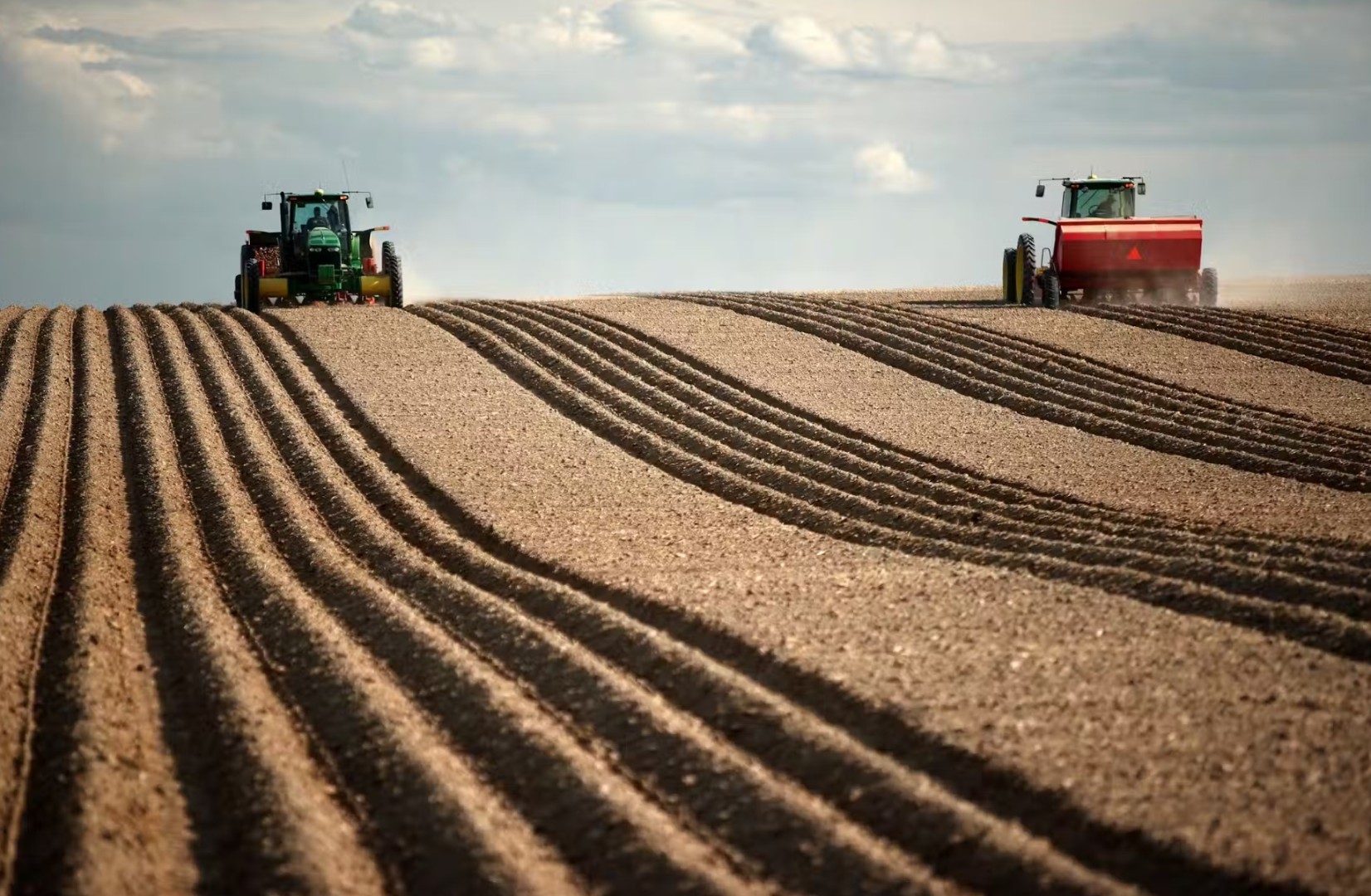 В ЛНР посевная площадь увеличилась на 17,35% после разминирования