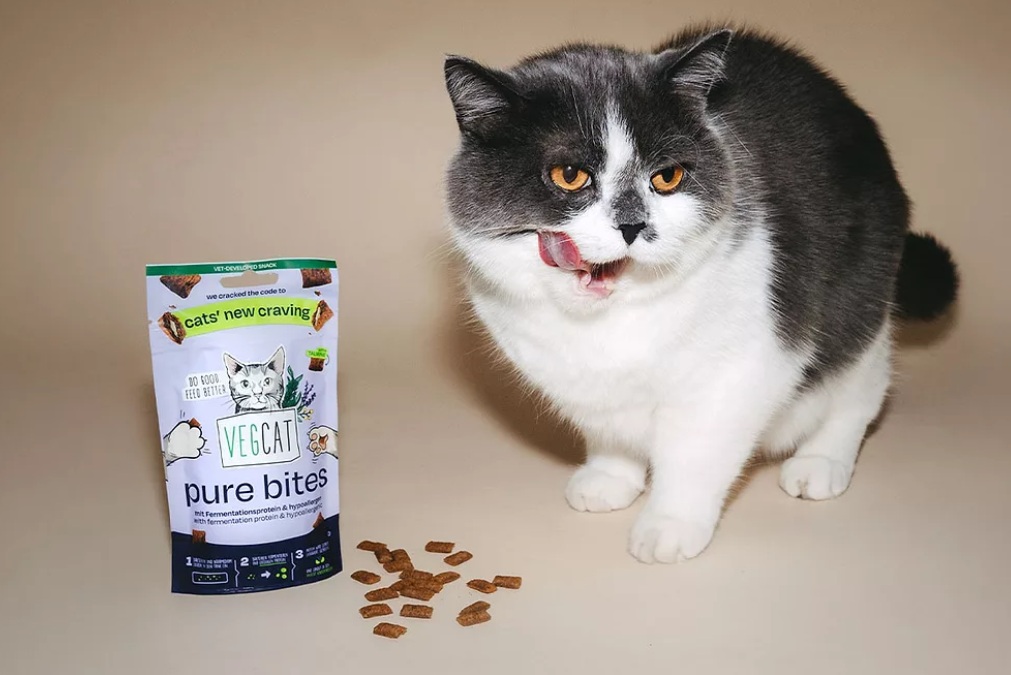 VEGDOG и MicroHarvest выпустили первое в мире лакомство для кошек с микробным белком