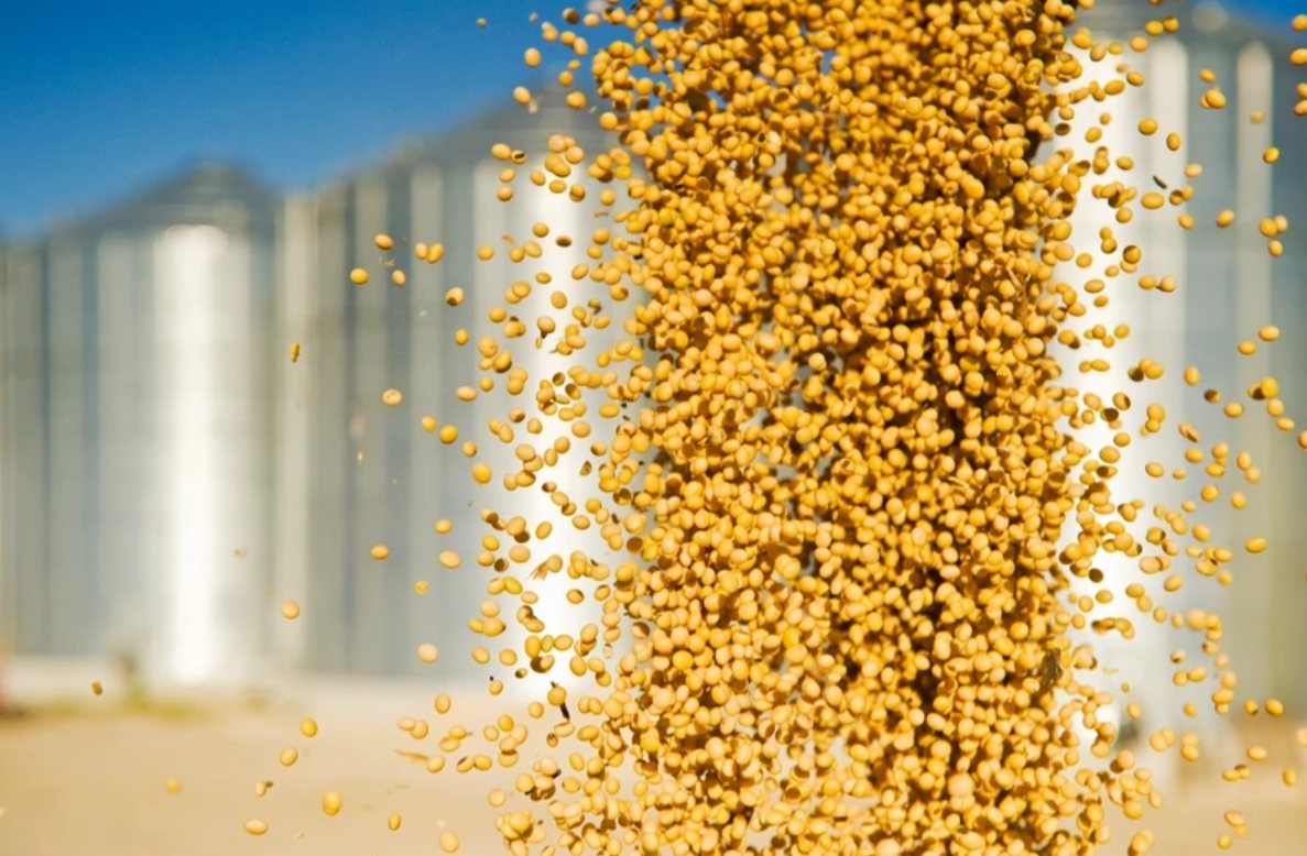 Инвесторы из КНР хотят открыть завод и теплицы в ЕАО