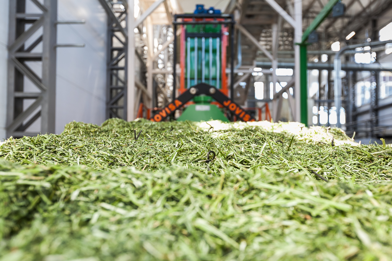 Под Астраханью крупный агрокомплекс планируют пустить на полную к 2031 году