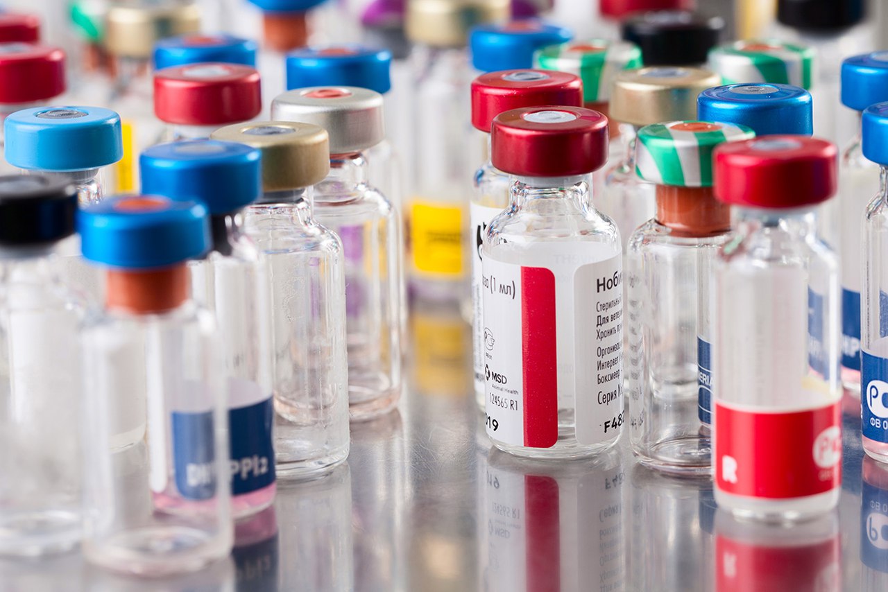 Новый срок аккредитации лабораторий по проверке семян в России перенесен на 2030 год