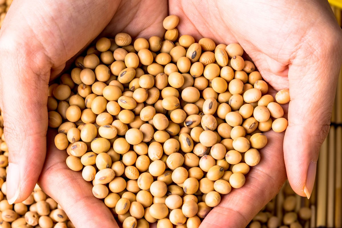 Титов: Россия может заменить американские молочные продукты и сою на рынке Китая