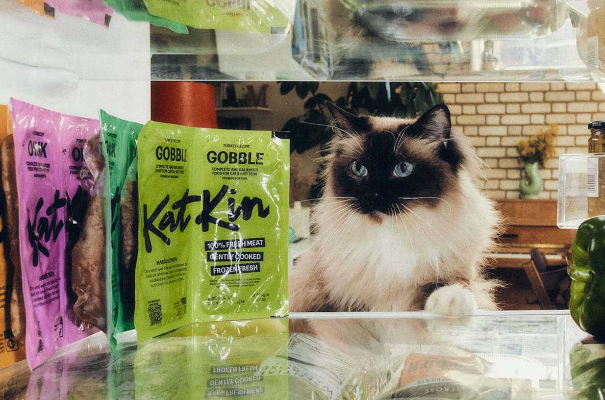 KatKin привлекает $50 млн для расширения производства свежего корма для кошек