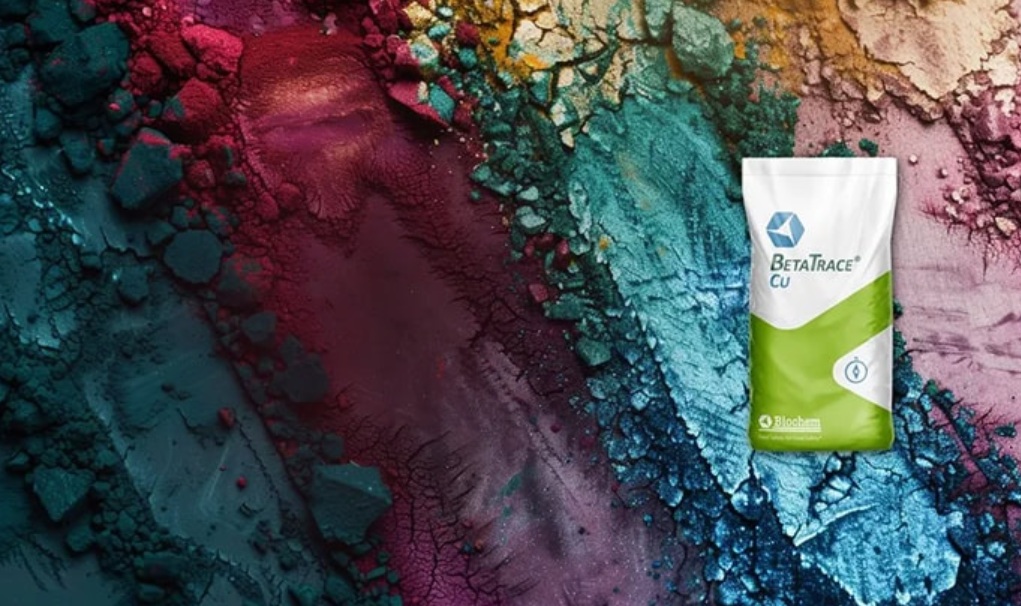 Компания Biochem получила одобрение ЕС на свою кормовую добавку