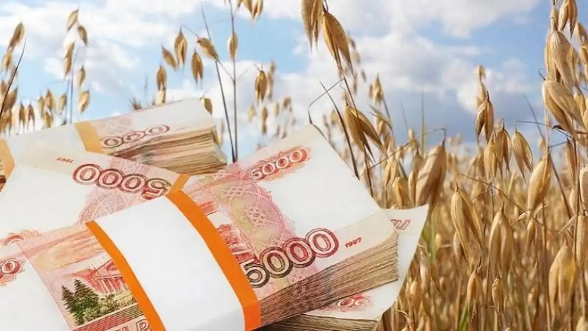 Господдержка АПК в 2025 году составила 665 млрд рублей