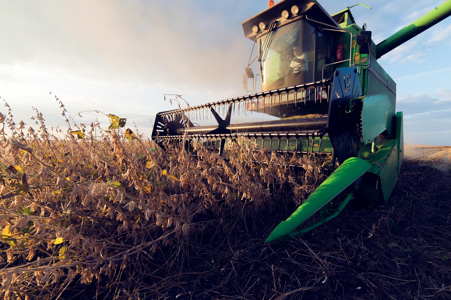 В Тамбовской области собран рекордный урожай сои