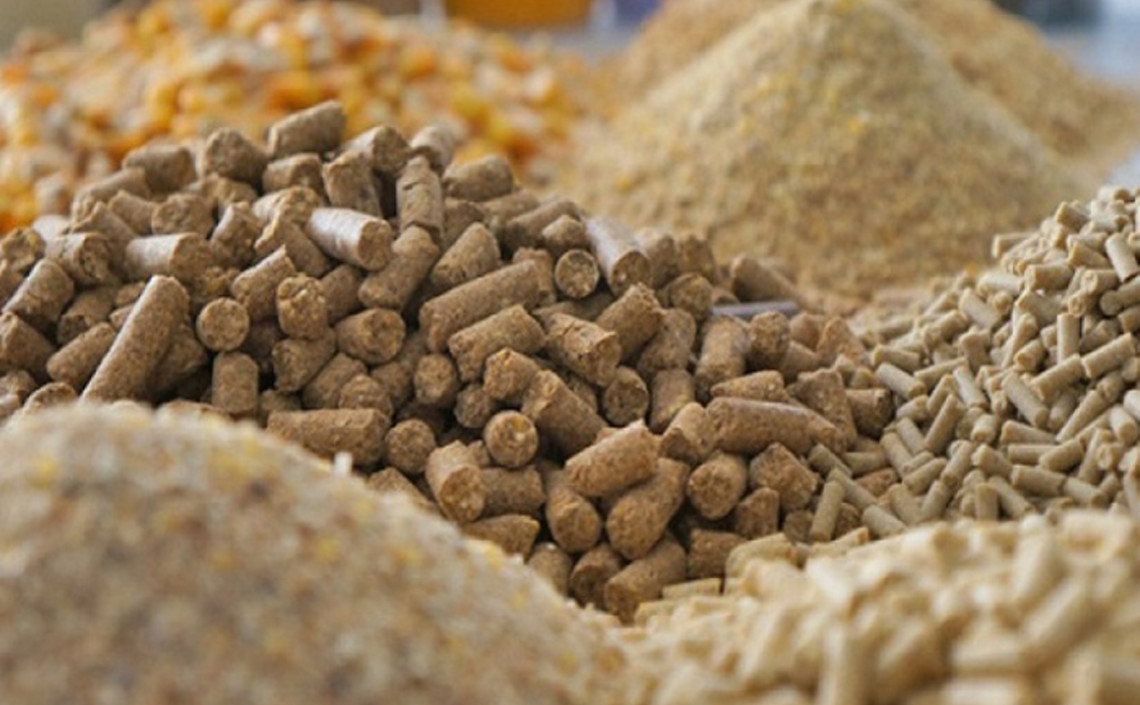 Из Липецкой области отгружено более 12 тысяч тонн кормов и кормовых добавок