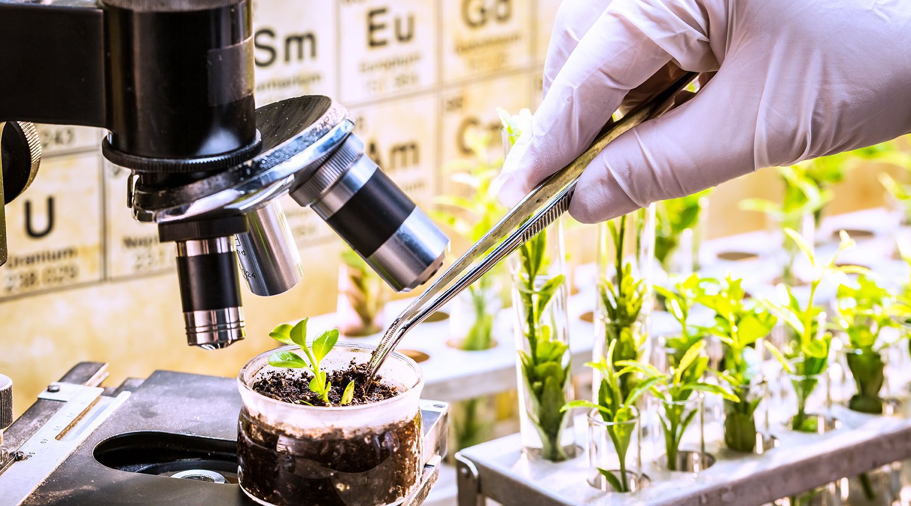 Нацпроект «Технологическое обеспечение продовольственной безопасности» стимулирует развитие аграрной науки и технологий