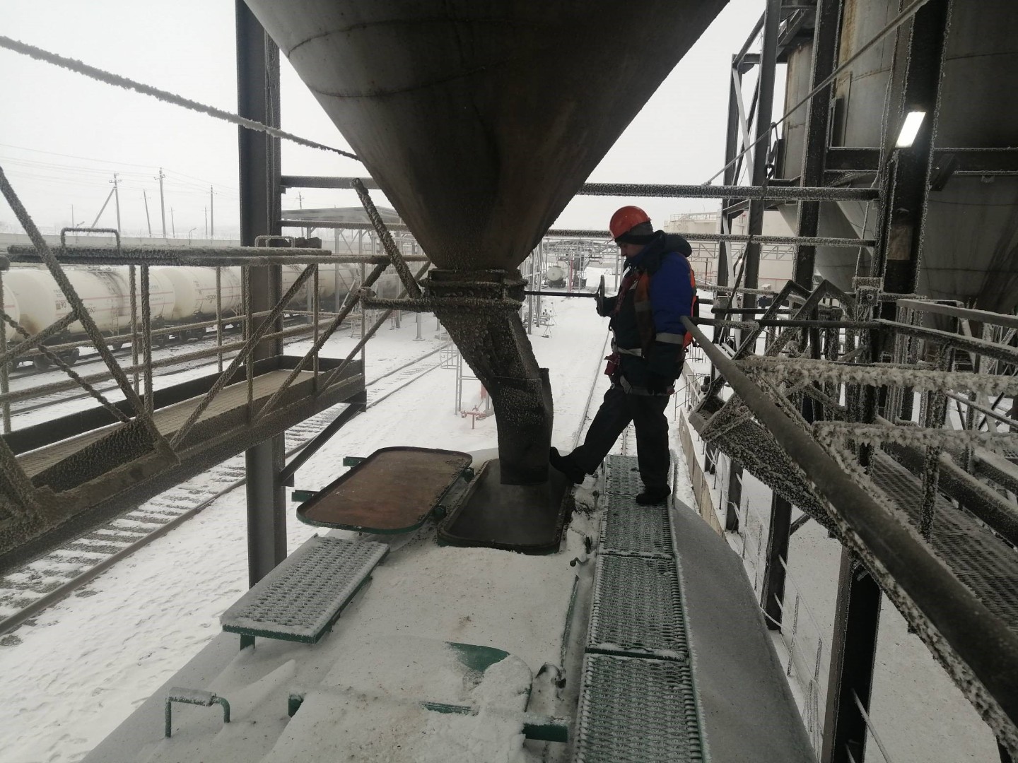 Из Башкирии в Марокко под контролем Россельхознадзора в праздничные дни отгружено более 2,5 тыс. тонн кормов для сельскохозяйственных животных