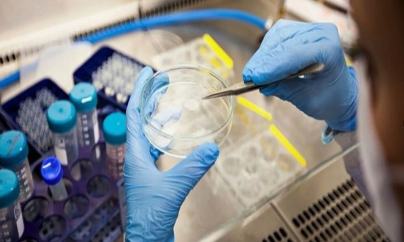 В премиксе орловского производителя выявлен тяжелый металл