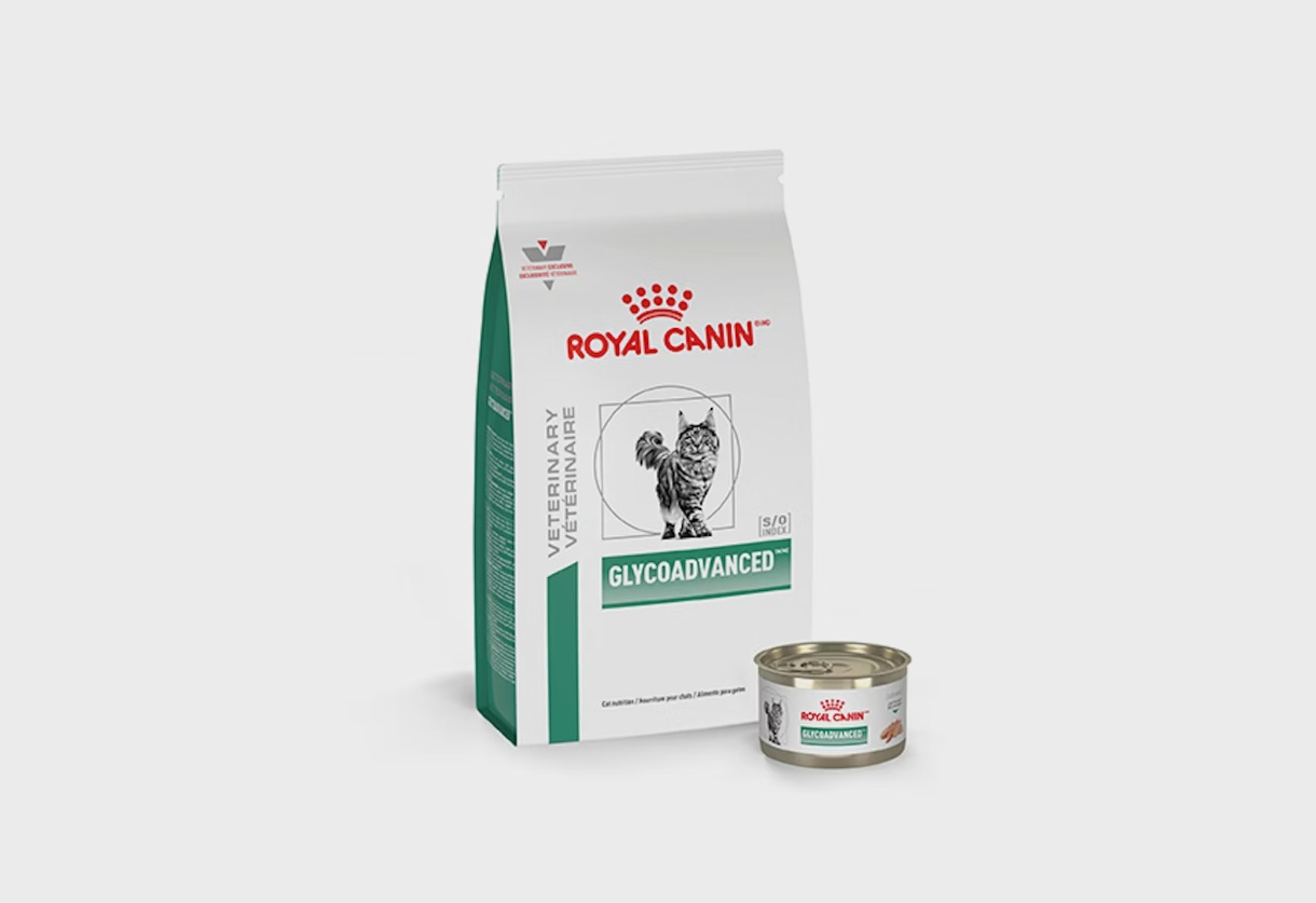 Royal Canin представила новый рацион для кошек с диабетом на выставке VMX 2026