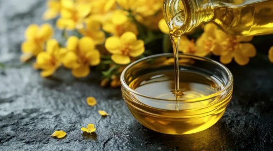 Кузбасс впервые экспортировал рапсовое масло в Китай и пшеницу во Вьетнам