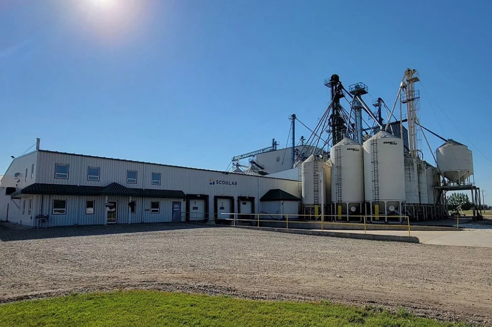 Scoular продает бизнес по производству семян подсолнечника и кормов для птиц