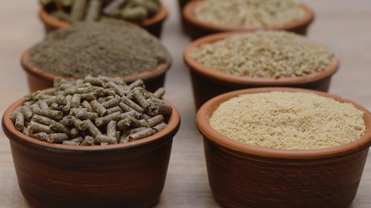 Кот-д’Ивуар вводит НДС в размере 9% на корма для животных: риски роста издержек в птицеводстве и животноводстве