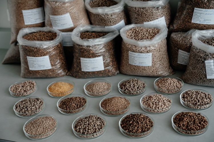 «ПРОДО Зерно Комбикорма» более чем на четверть нарастило производство комбикормов в 2025 году