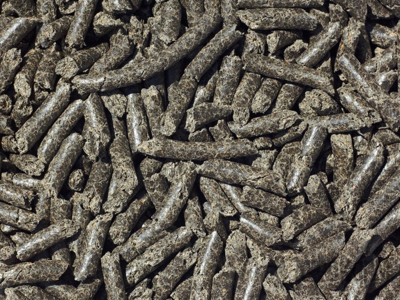 Из Курской области экспортировано около 3 тысяч тонн свекловичного жома