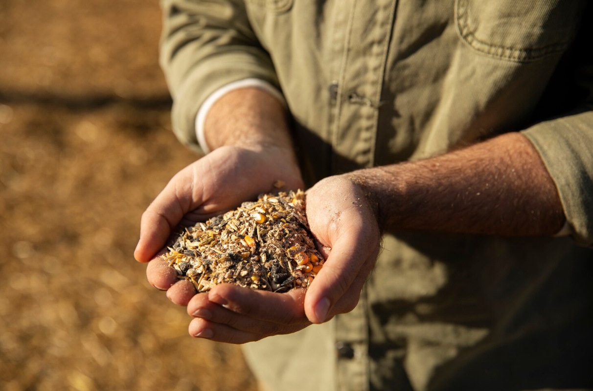 Контроль за производством и переработкой зерна предложили усилить