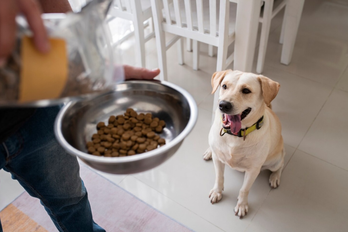 IQI выводит на рынок бета-глюкан на основе мицелия для функциональных кормов для домашних животных
