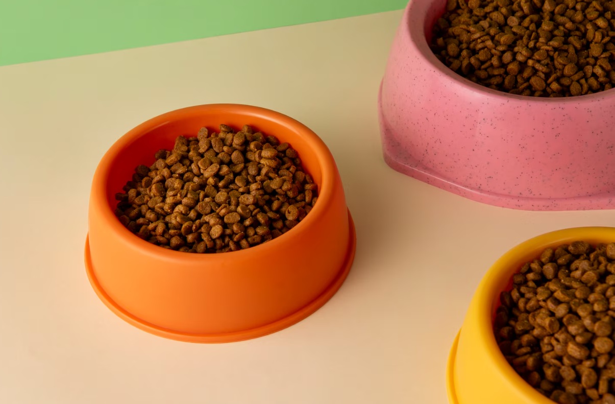 Рынок кормов для питомцев с белками из насекомых вырастет в 4 раза за 10 лет